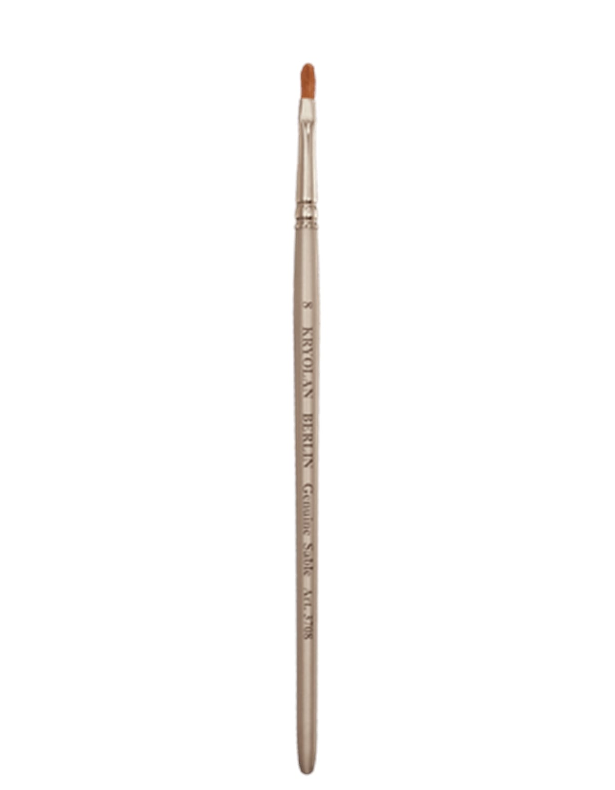 Professional Filbert Brush 8