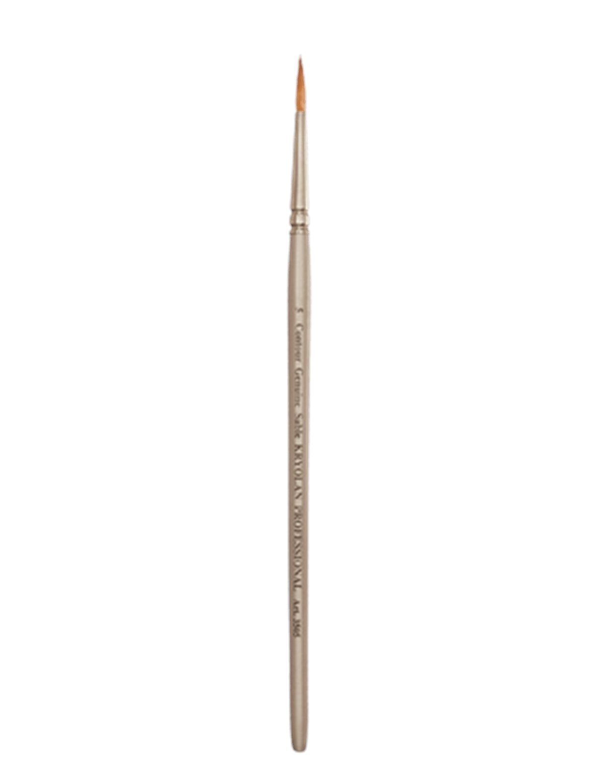 Professional Round Brush 5