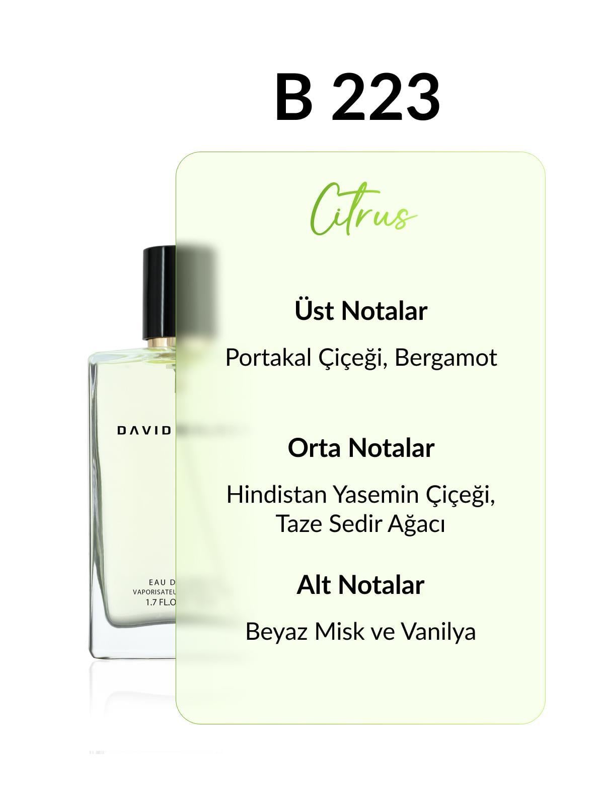 David Walker B223 More Relax 50 ml Kadın Parfüm | Citrus
