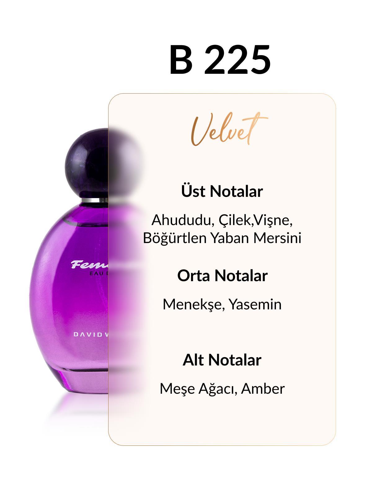 David Walker B225 Hannowen 100 ml Kadın Parfüm | Velvet