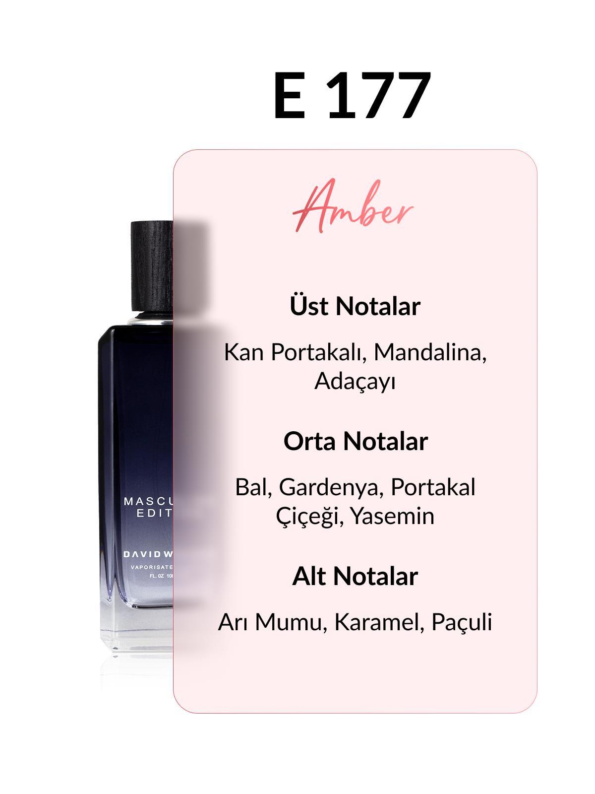 David Walker E177 Tentative 100 ml Erkek Parfüm | Aromatic