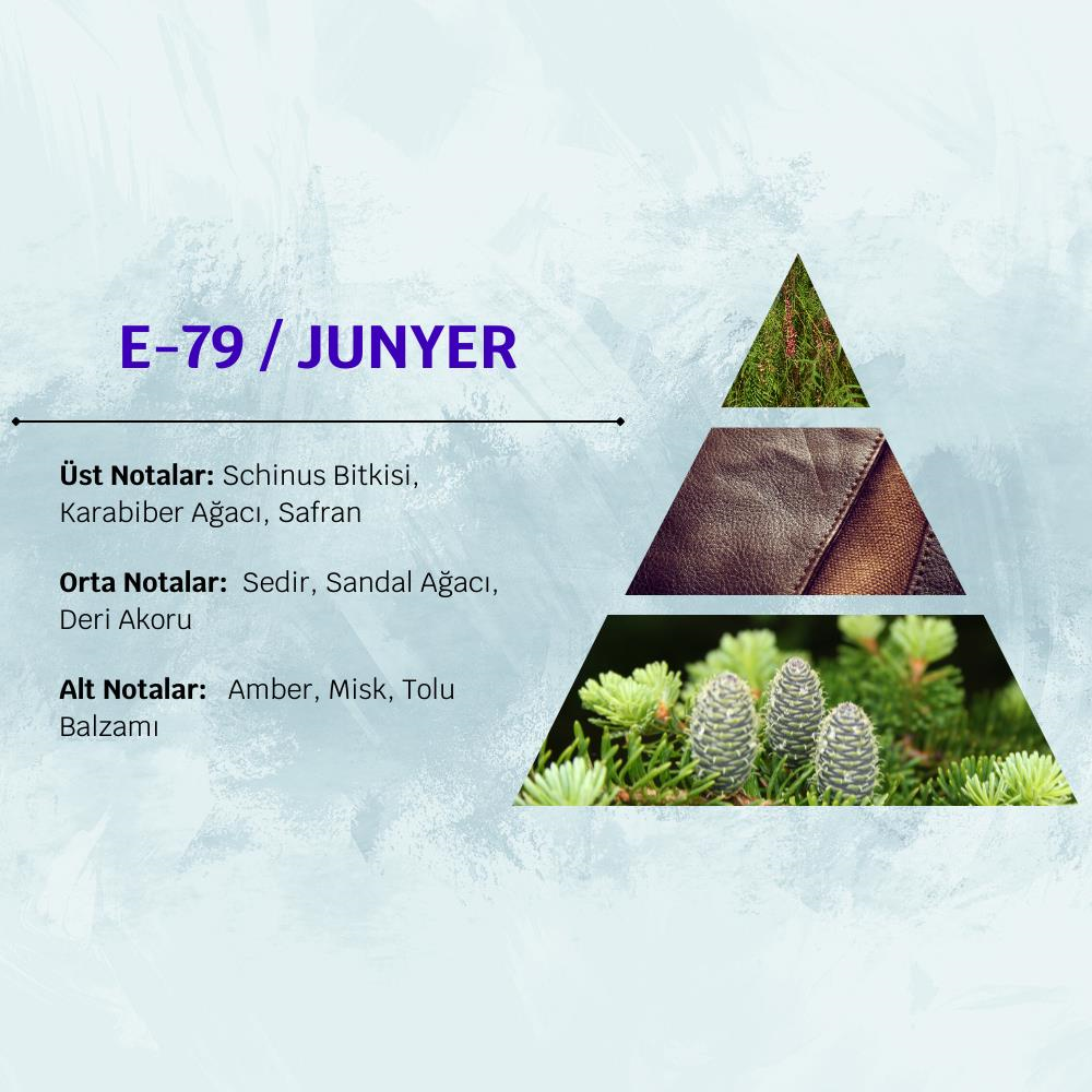 David Walker JUNYER E79 50ML Oryantal Erkek Parfüm