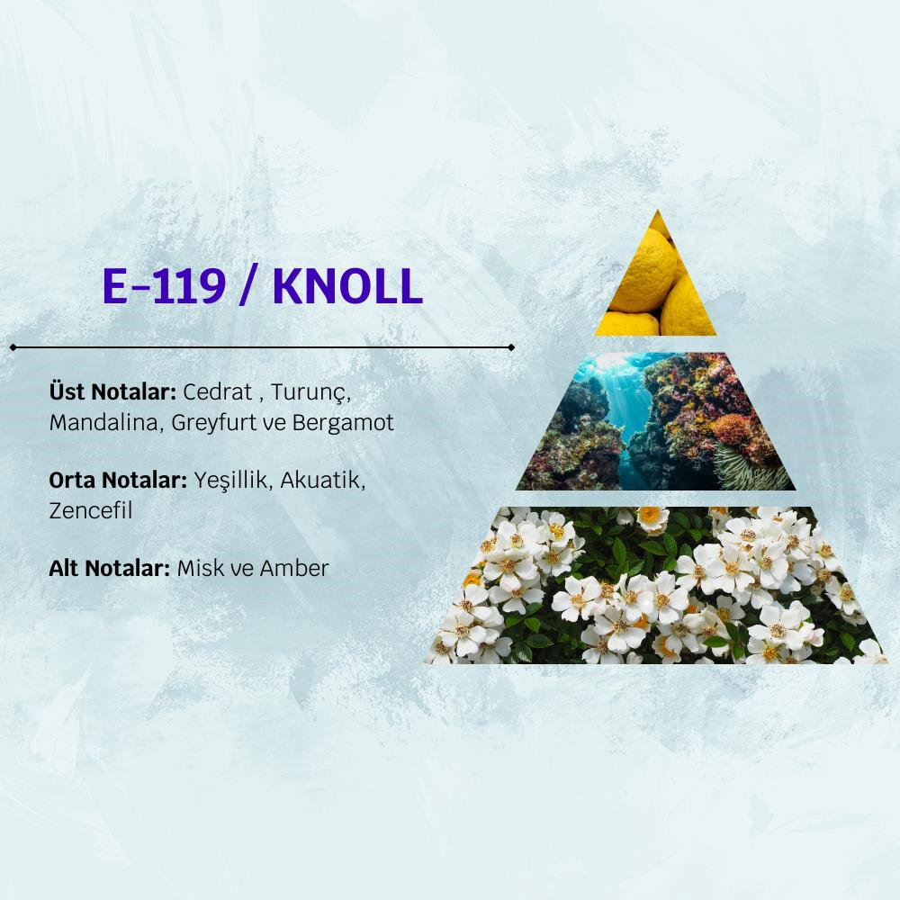 David Walker KNOLL E119 50ML Ferah&Odunsu  Erkek Parfüm