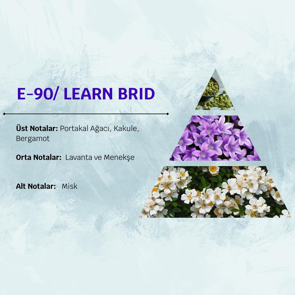 David Walker LEARN BRID E90 50ML Ferah&Misk Erkek Parfüm