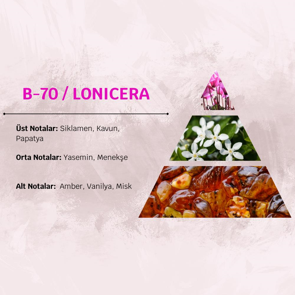 David Walker LONICERA B70 100ML Meyve&Çiçek Kadın Parfüm