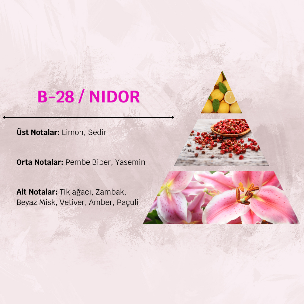 David Walker NIDOR B28 100ML Bayan Parfüm