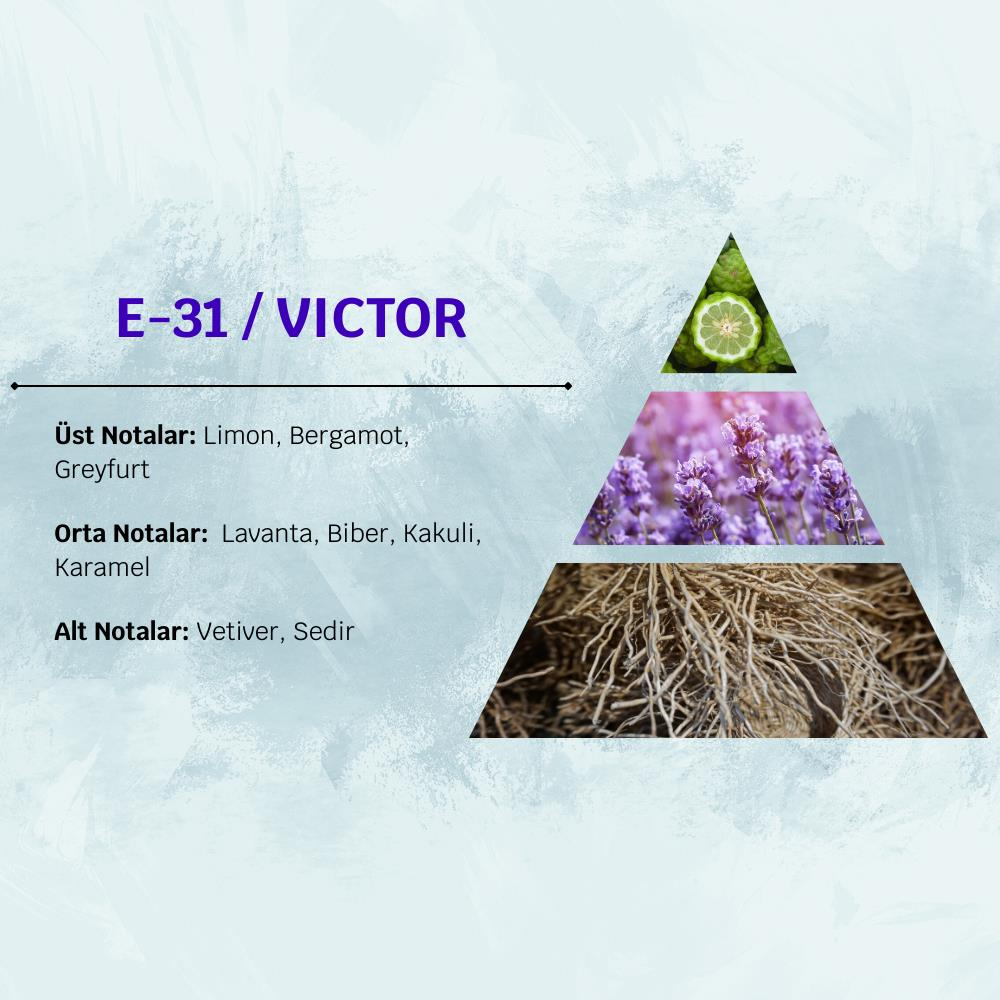 David Walker VICTOR E31 50ML Meyve&Misk Erkek Parfüm
