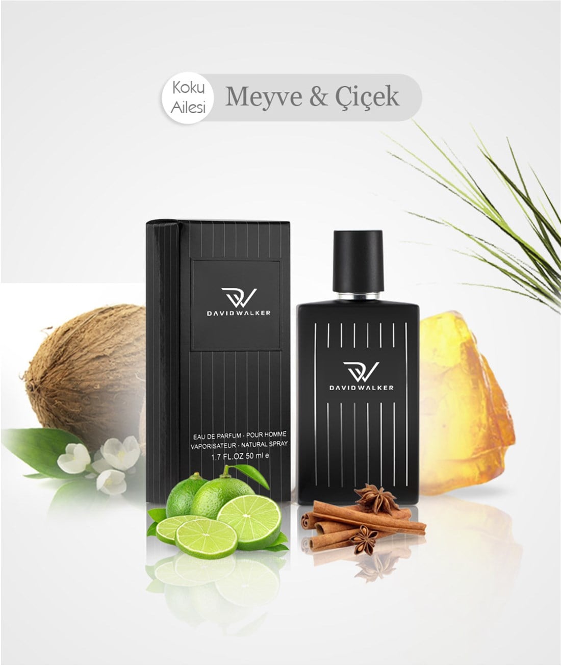 David Walker ZERO E024  50ML Erkek Parfüm