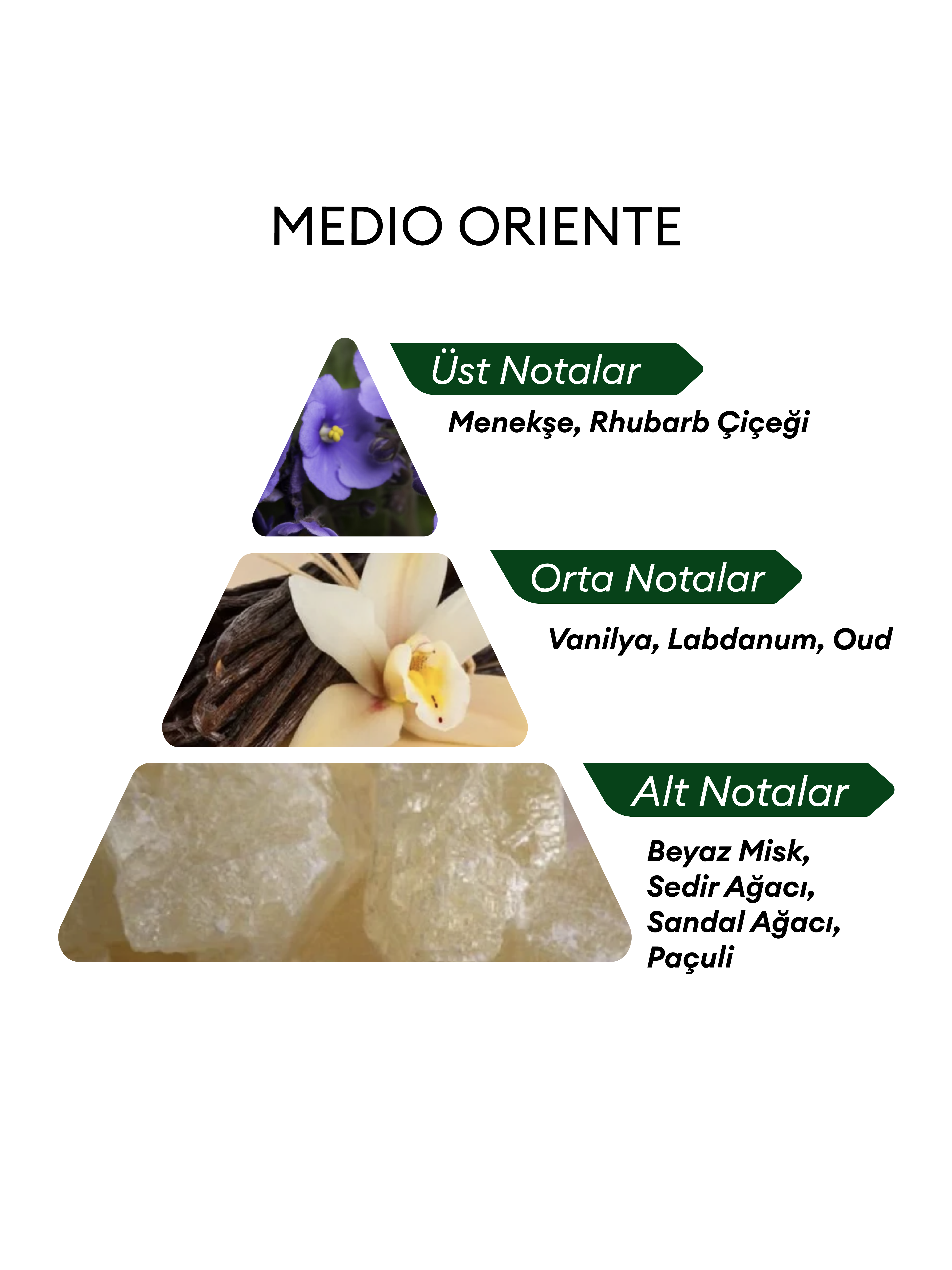 MEDİO