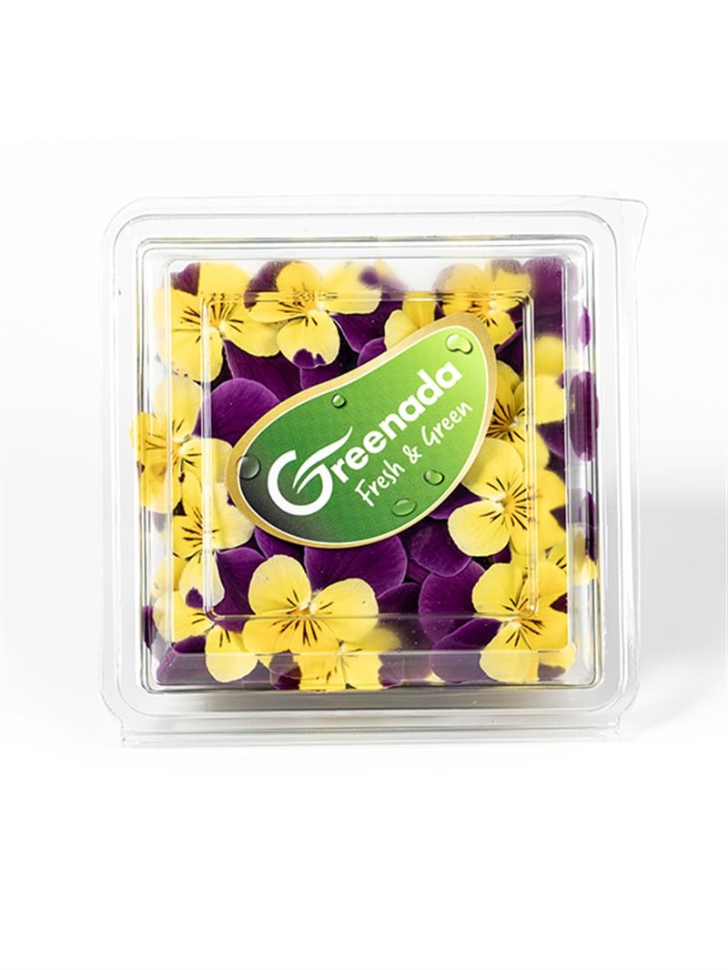 GreenadaÇift Renkli Menekşe