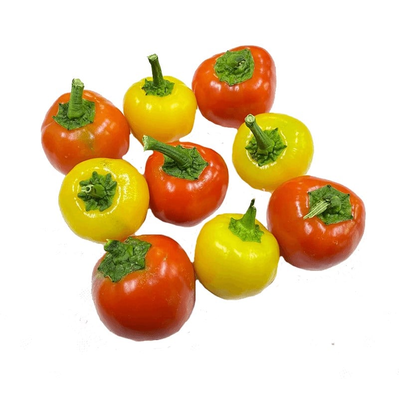 GreenadaDomates Biber Mix 500 g