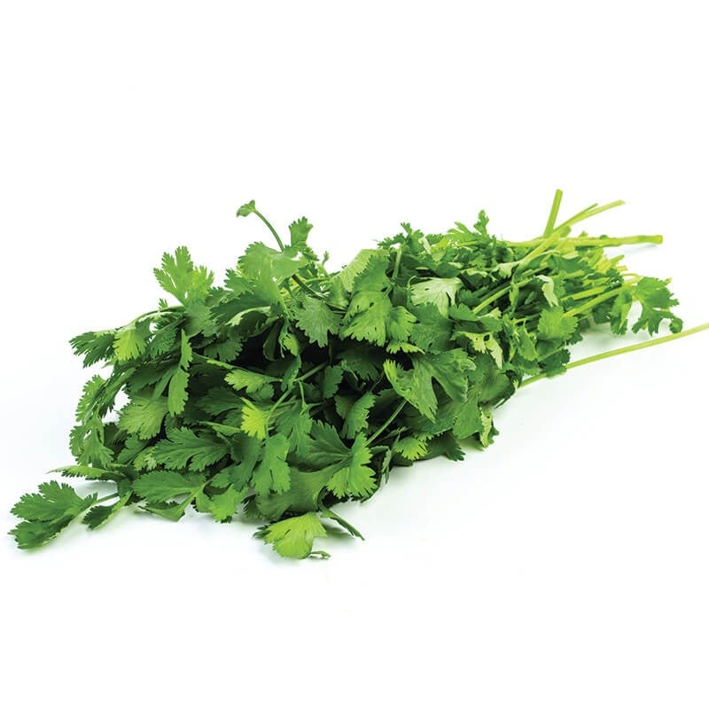GreenadaKişniş (Coriander)