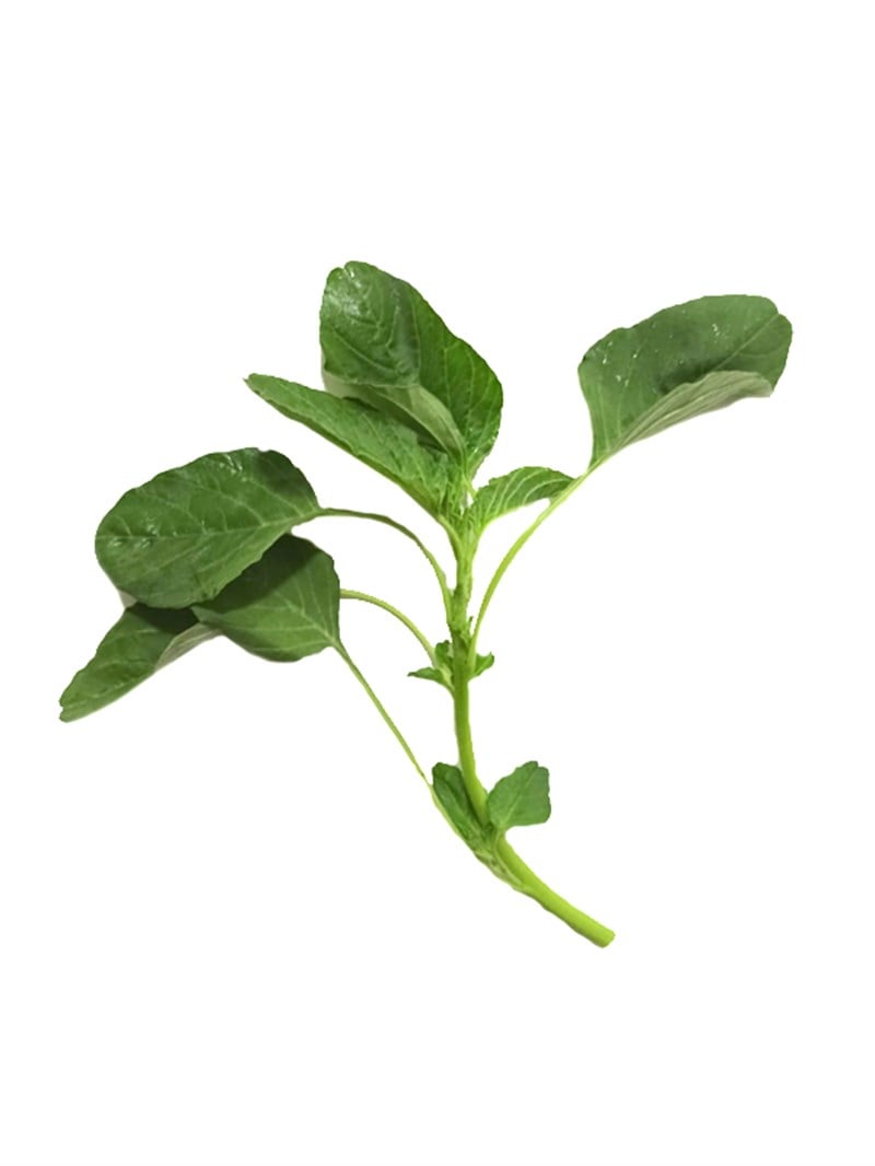 GreenadaSirken Otu 150 Gr