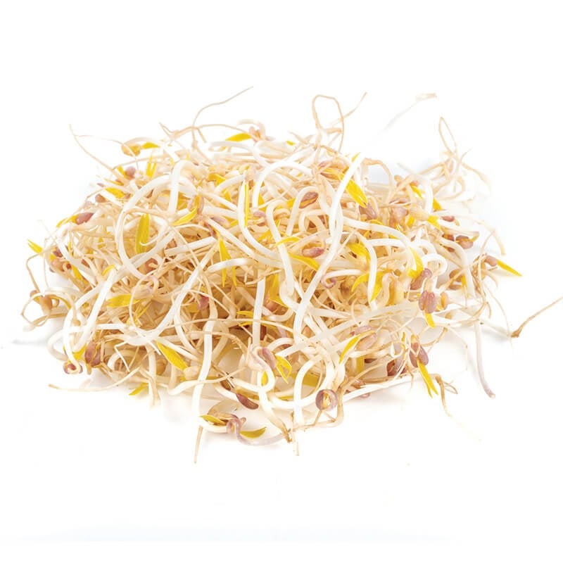 GreenadaSoya Filizi 500 Gr (Soybean Sprouts)