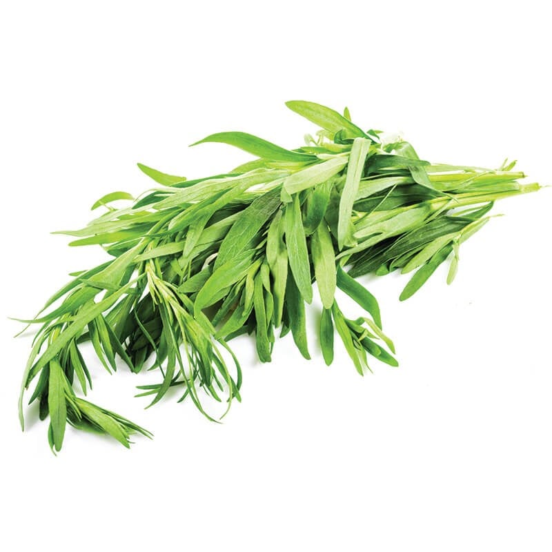GreenadaTarhun Otu (Tarragon)