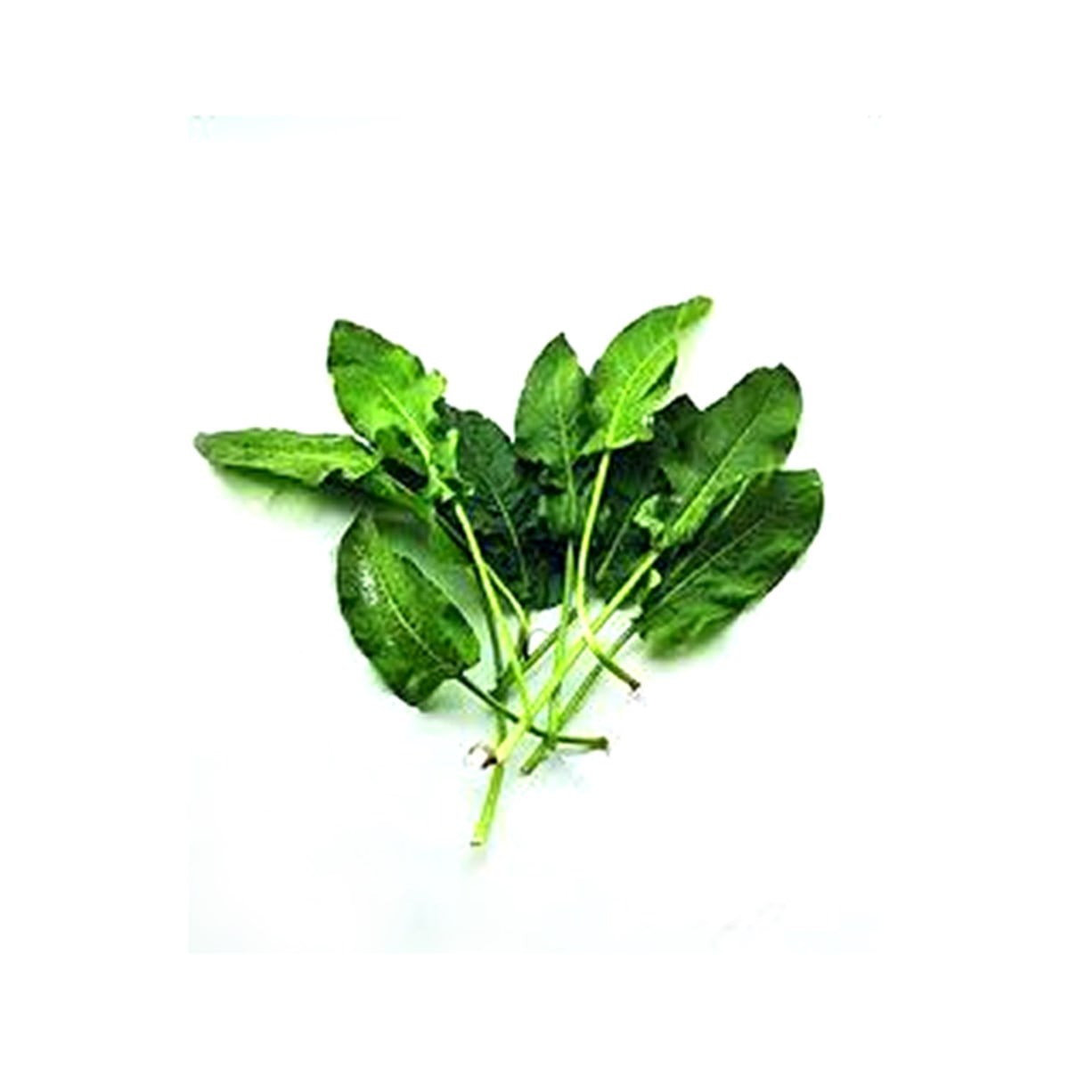 Labada