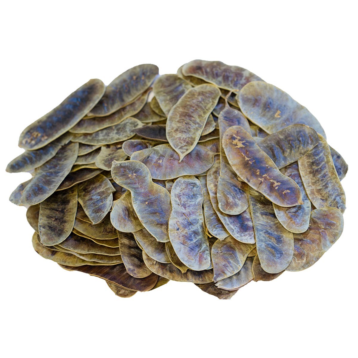 Açlık Otu (Senna Pods)