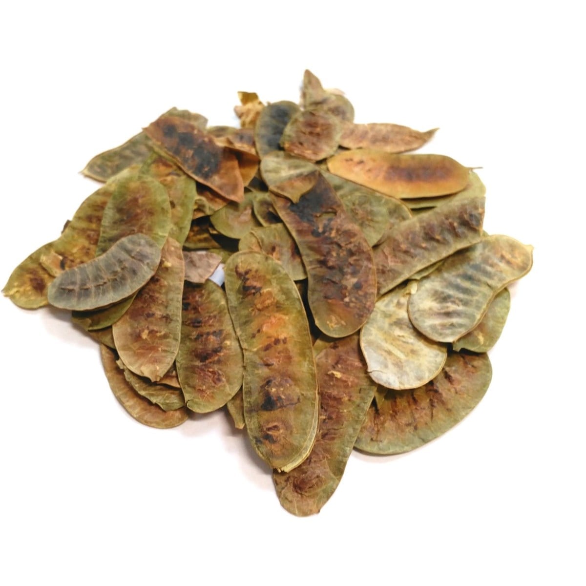 Açlık Otu (Senna Pods)