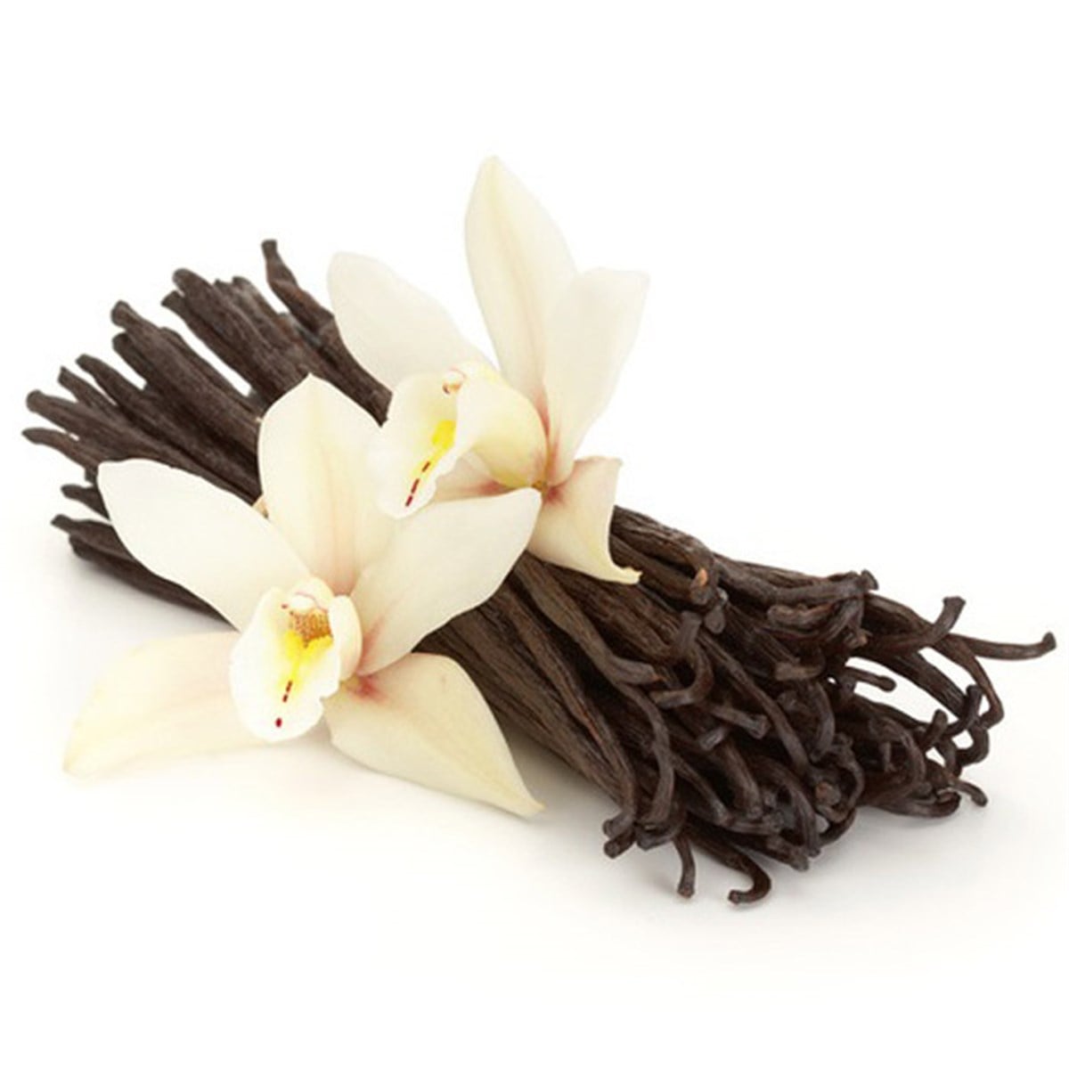 Çubuk Vanilya (Vanilla Beans)
