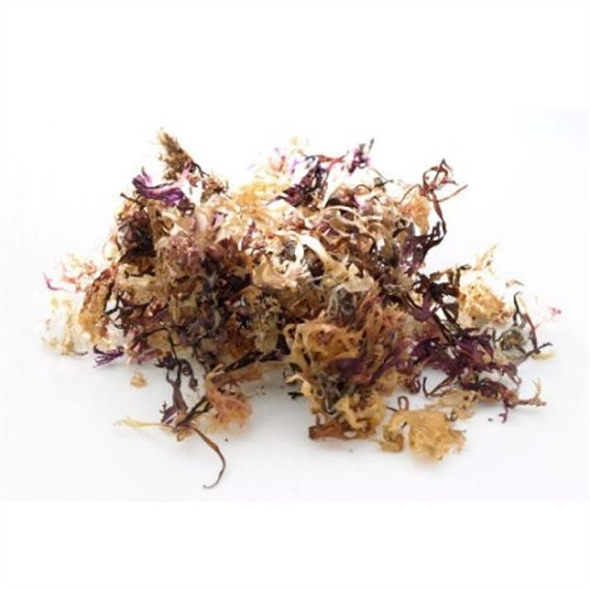 Deniz Kadayıfı (Carragen Chondrus Crispus)