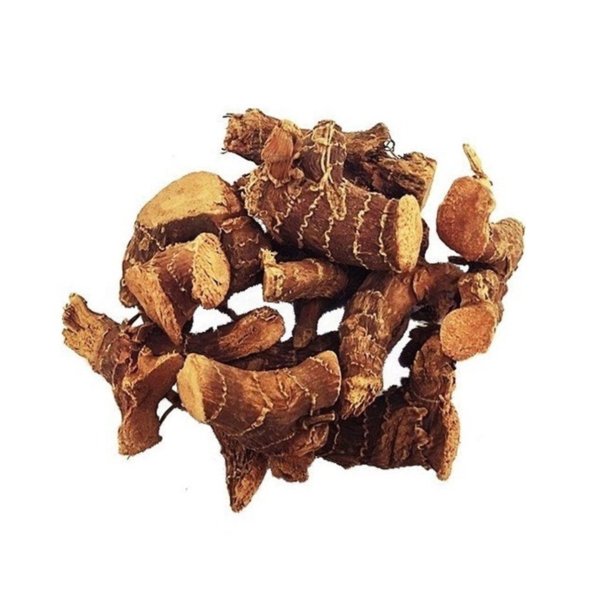 Havlıcan Kök (Galangal Root)