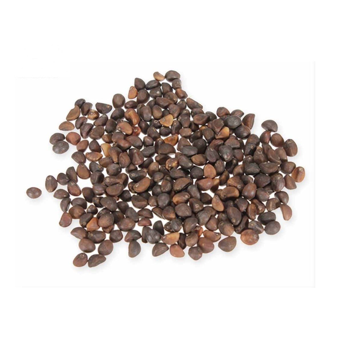 Ispanak Tohumu (Spinach Seeds)