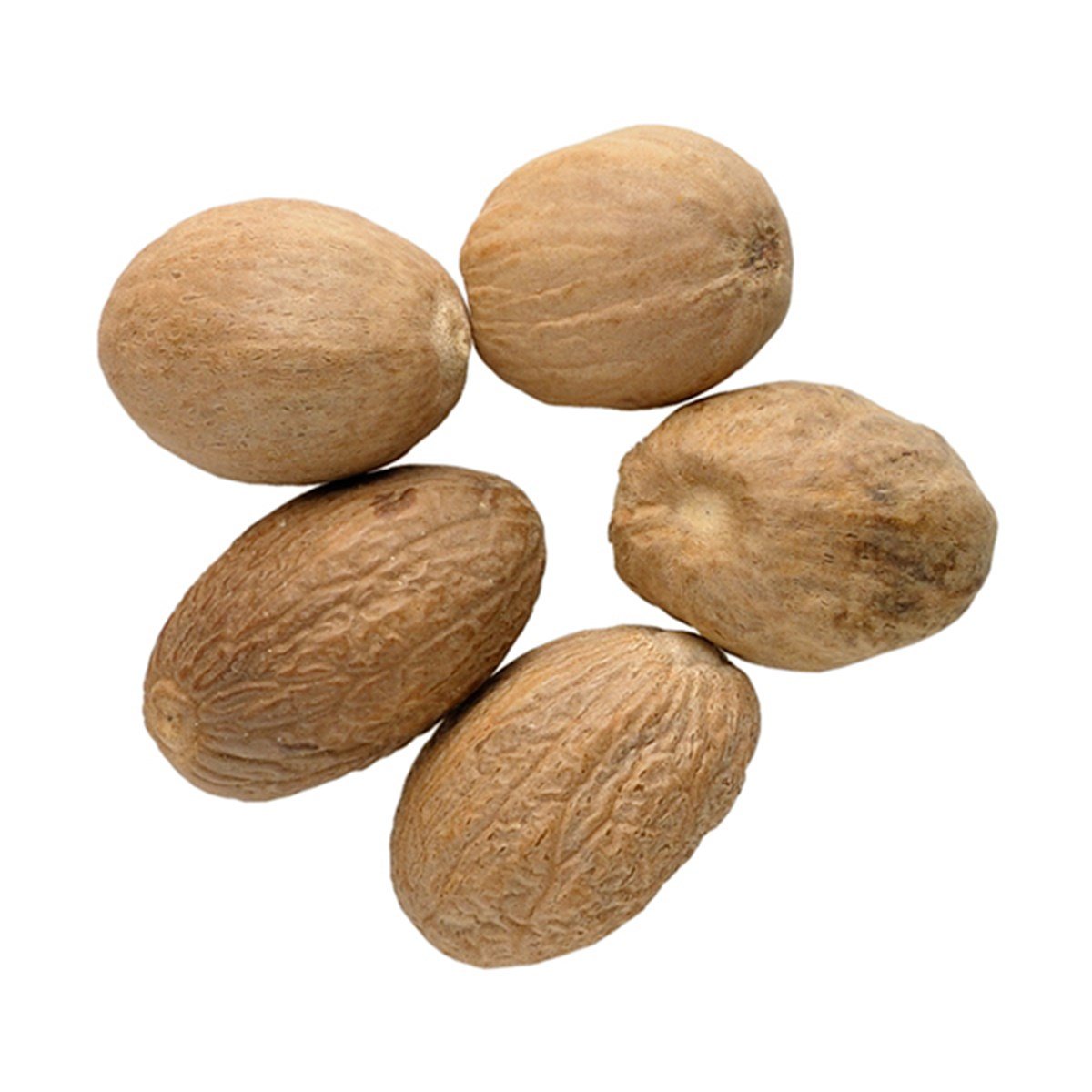 Muskat Cevizi (Nutmeg)