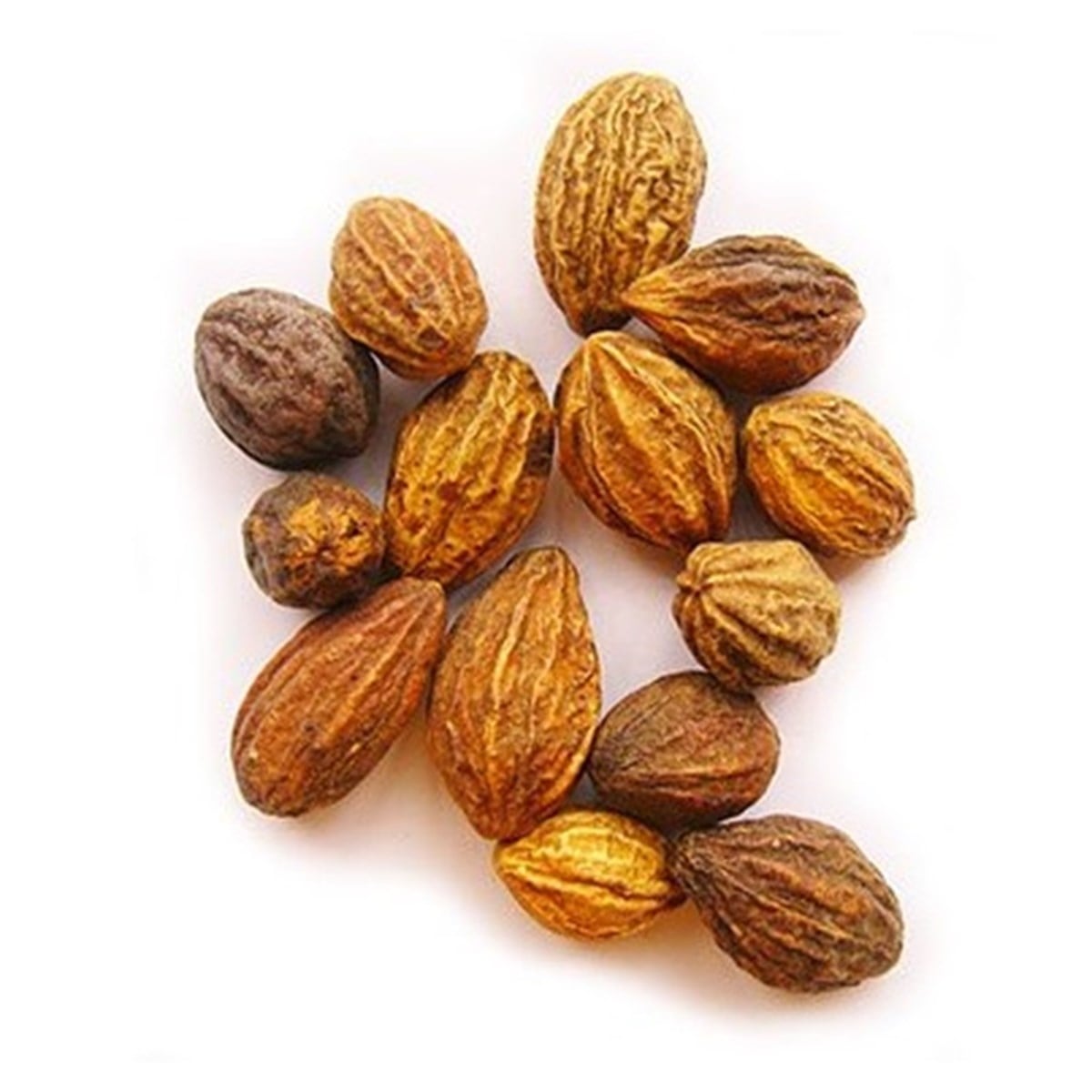 Sarı Halile (Yellow Terminalia Chebula)