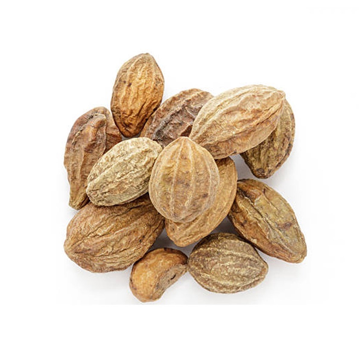 Sarı Halile (Yellow Terminalia Chebula)