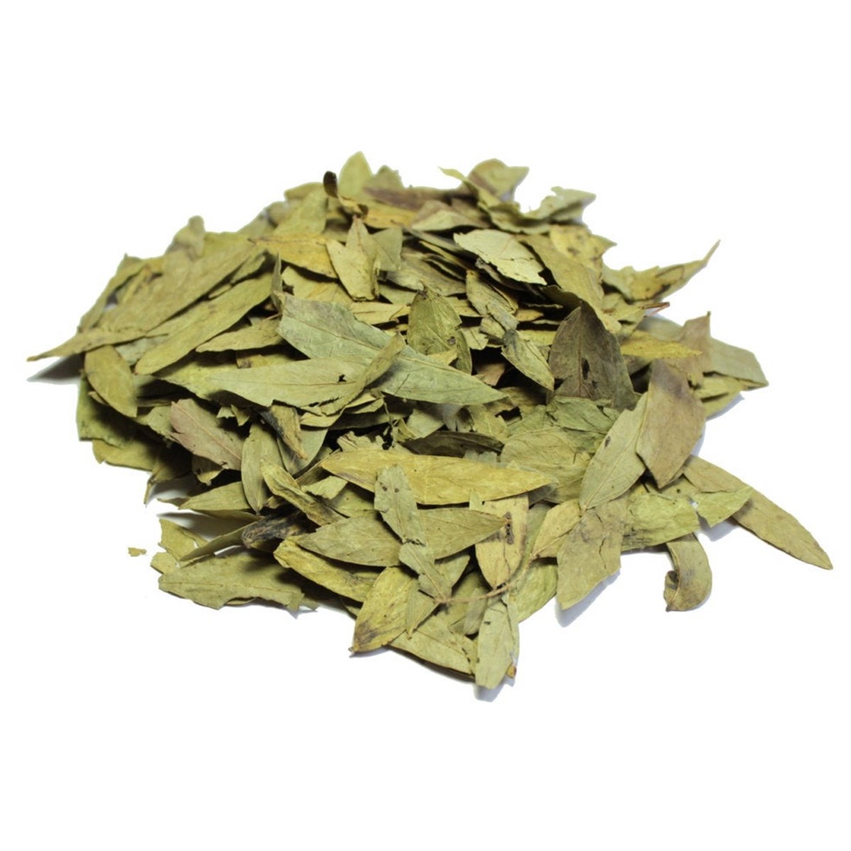 Sinameki (Senna Leaves)