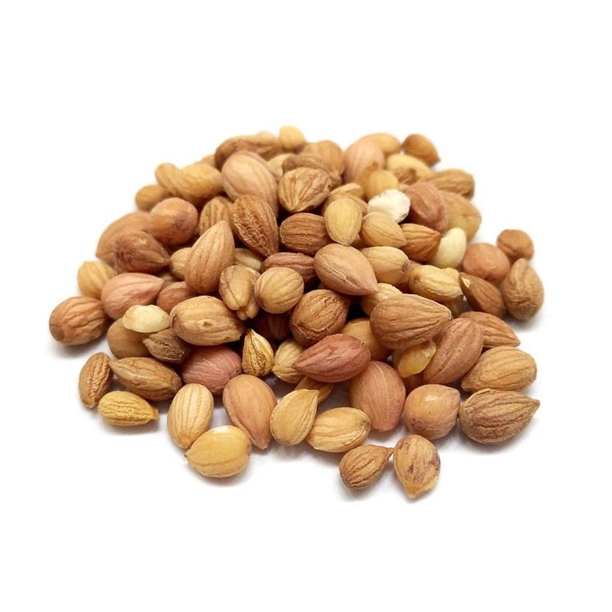 Tane Mahlep İdris Ağacı Kokulu Kiraz Endürüz Yabani Kiraz (Prunus Mahaleb)