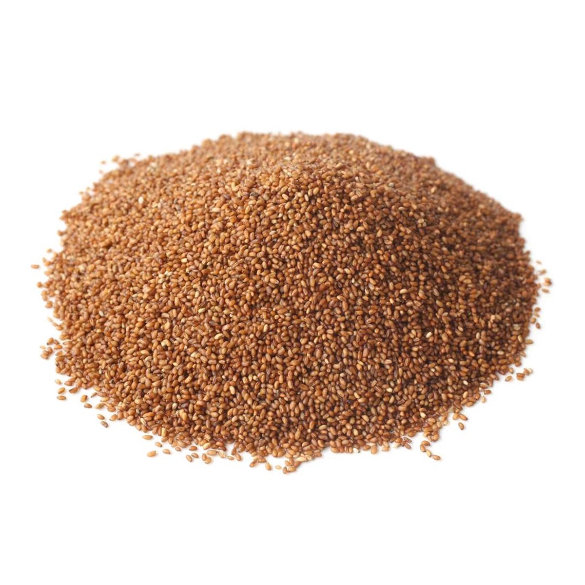Teff Tohumu (Teff Seeds)