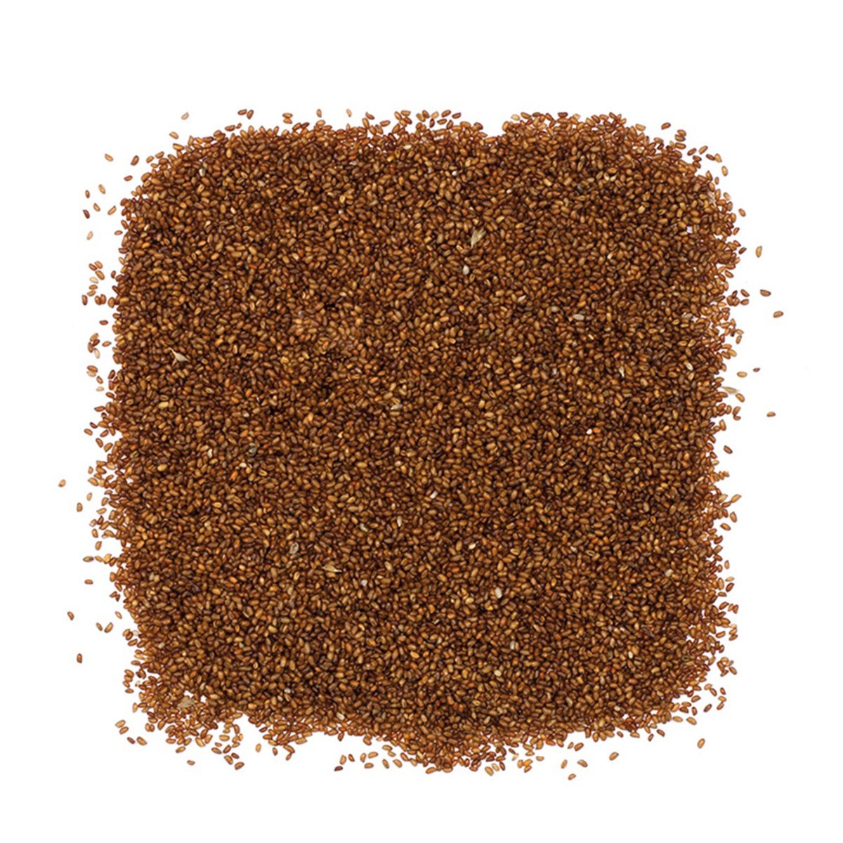 Teff Tohumu (Teff Seeds)