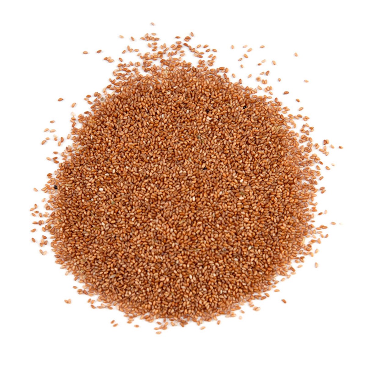 Teff Tohumu (Teff Seeds)