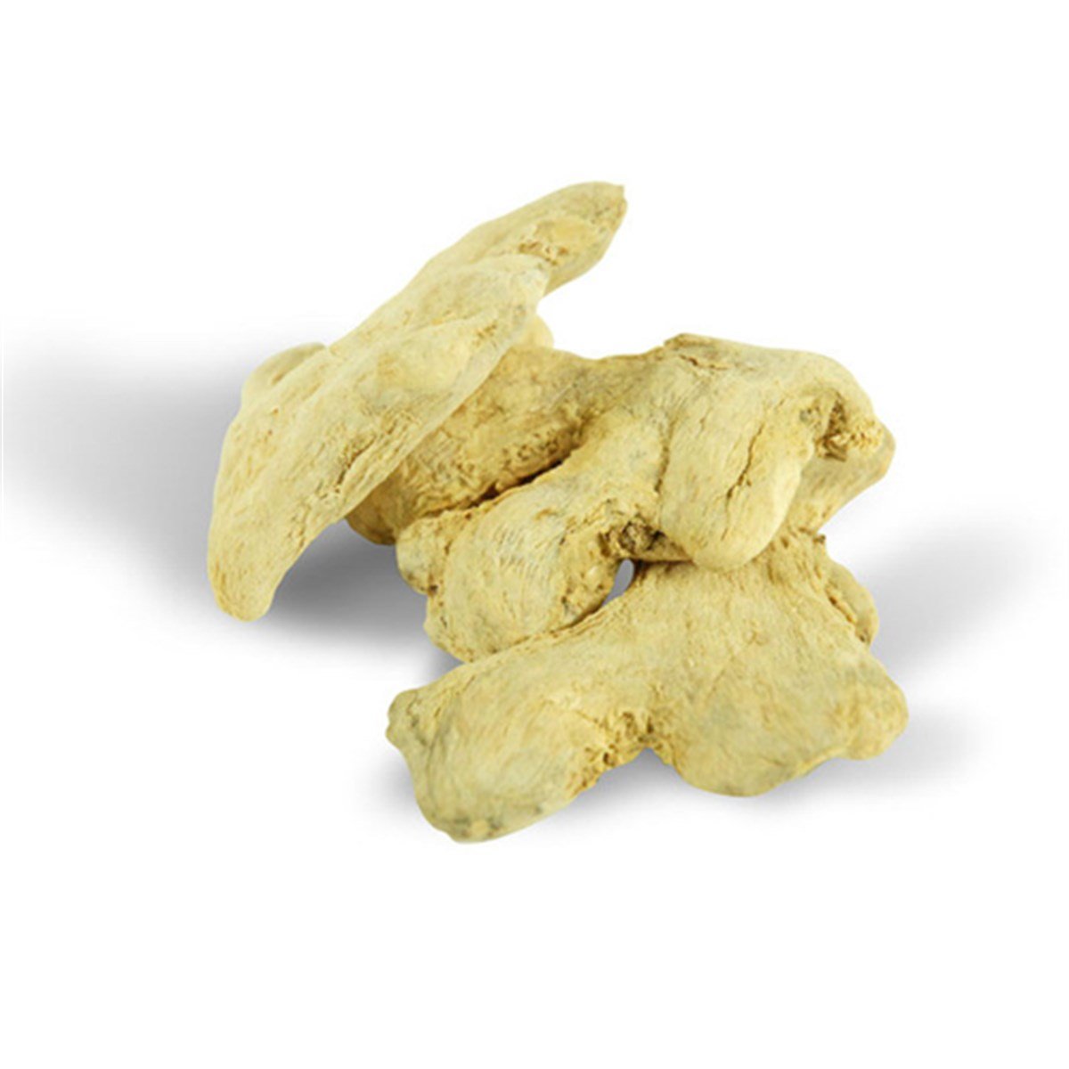 Zencefil (Ginger Root)