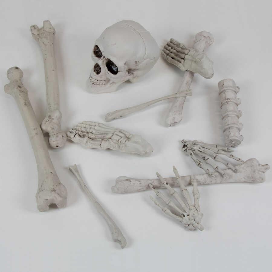 Halloween Plastik İskelet Parçaları Dekor Beyaz Halloween Dekorasyon Halloween Plastik İskelet Parçaları Dekor Beyaz - KostümPartim®