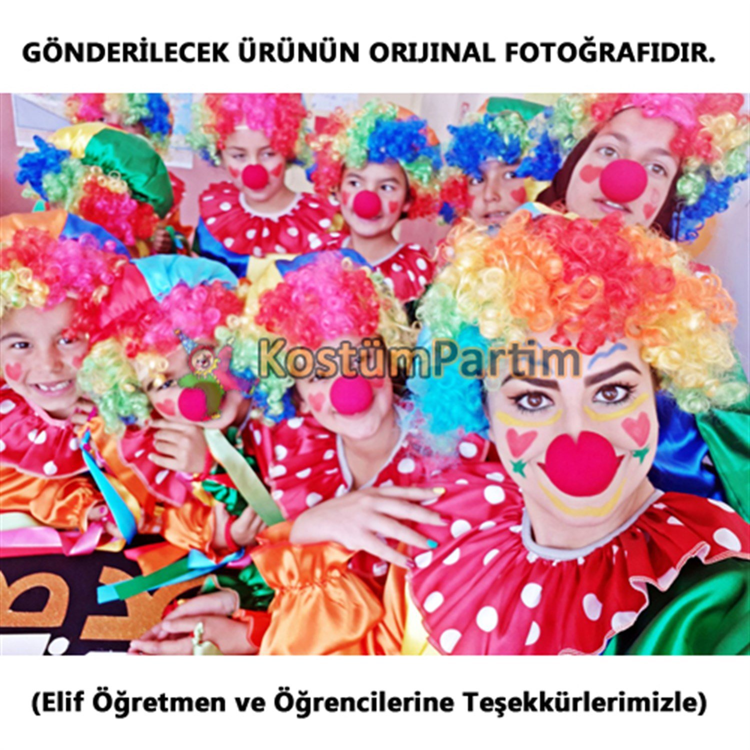 Palyaço Peruğu Bonus Gökkuşağı Karışık Renk PerukPalyaço Aksesuarları