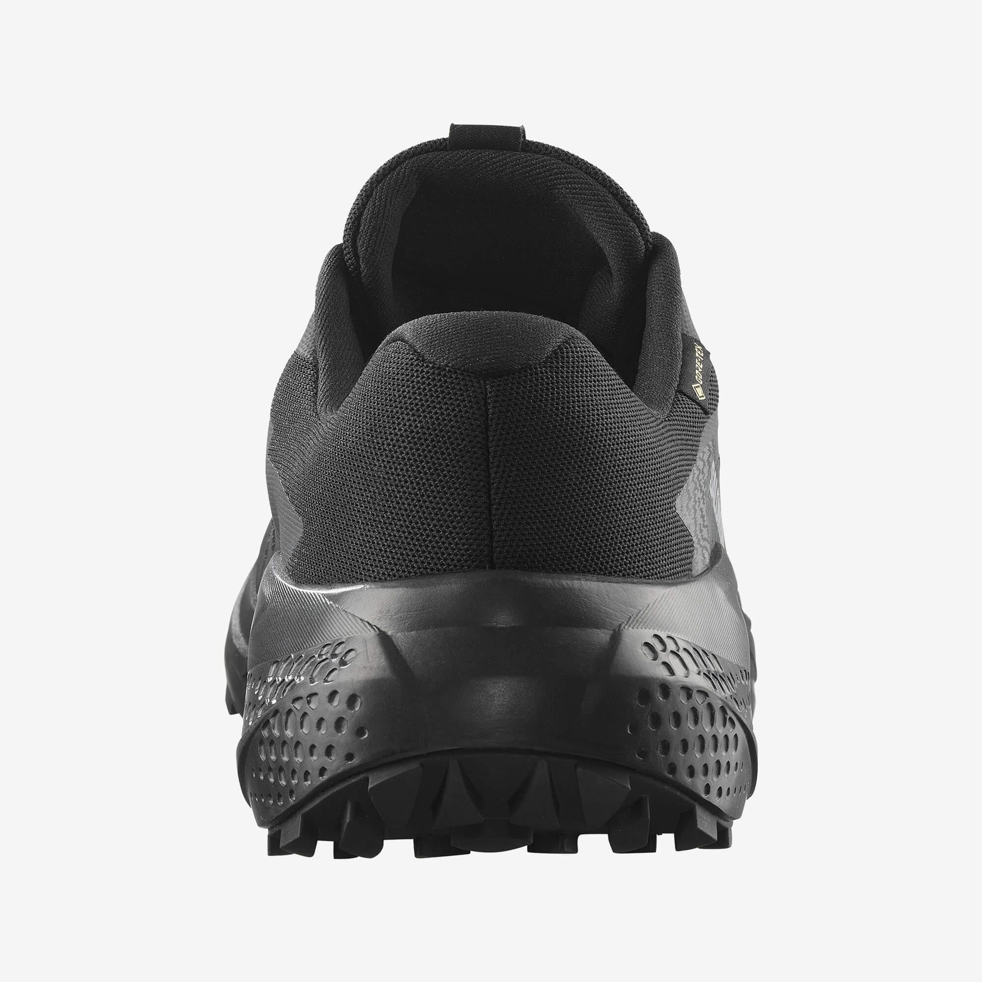 Salomon Alphaglide GORE-TEX Erkek Ayakkabı Siyah