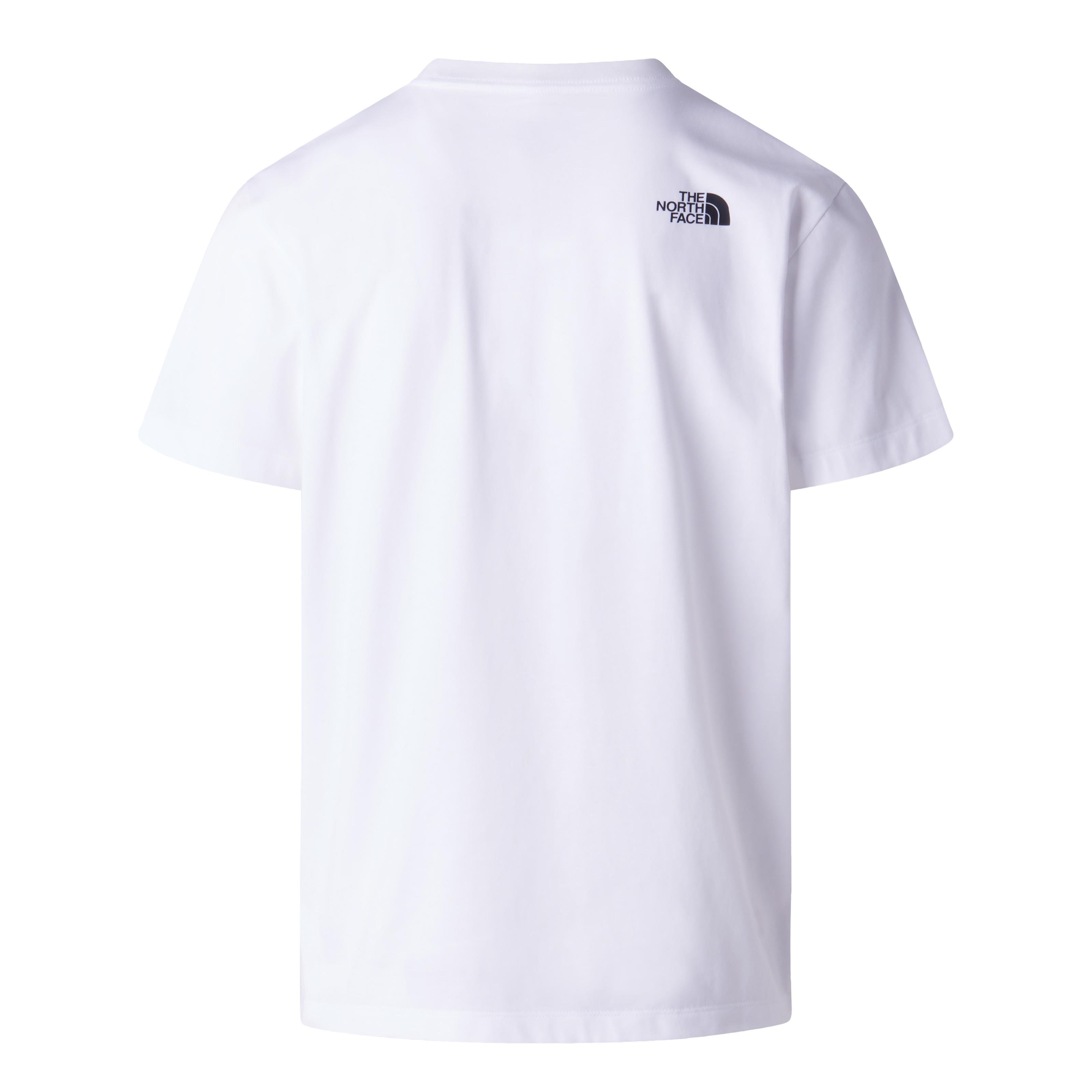 The North Face Evolution Box Half Dome Erkek Tişört Beyaz