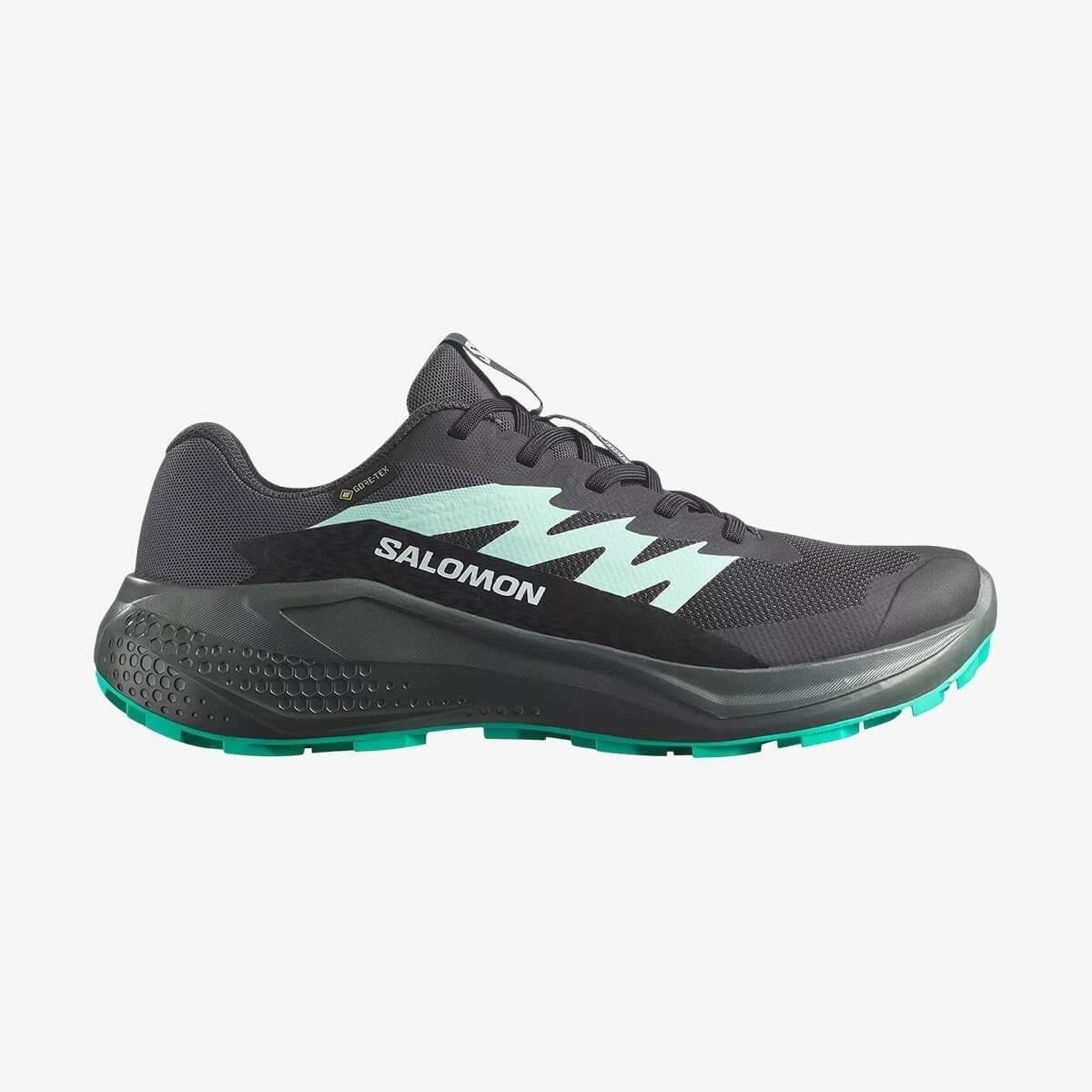 Salomon Alphaglide GORE-TEX Kadın Ayakkabı Siyah