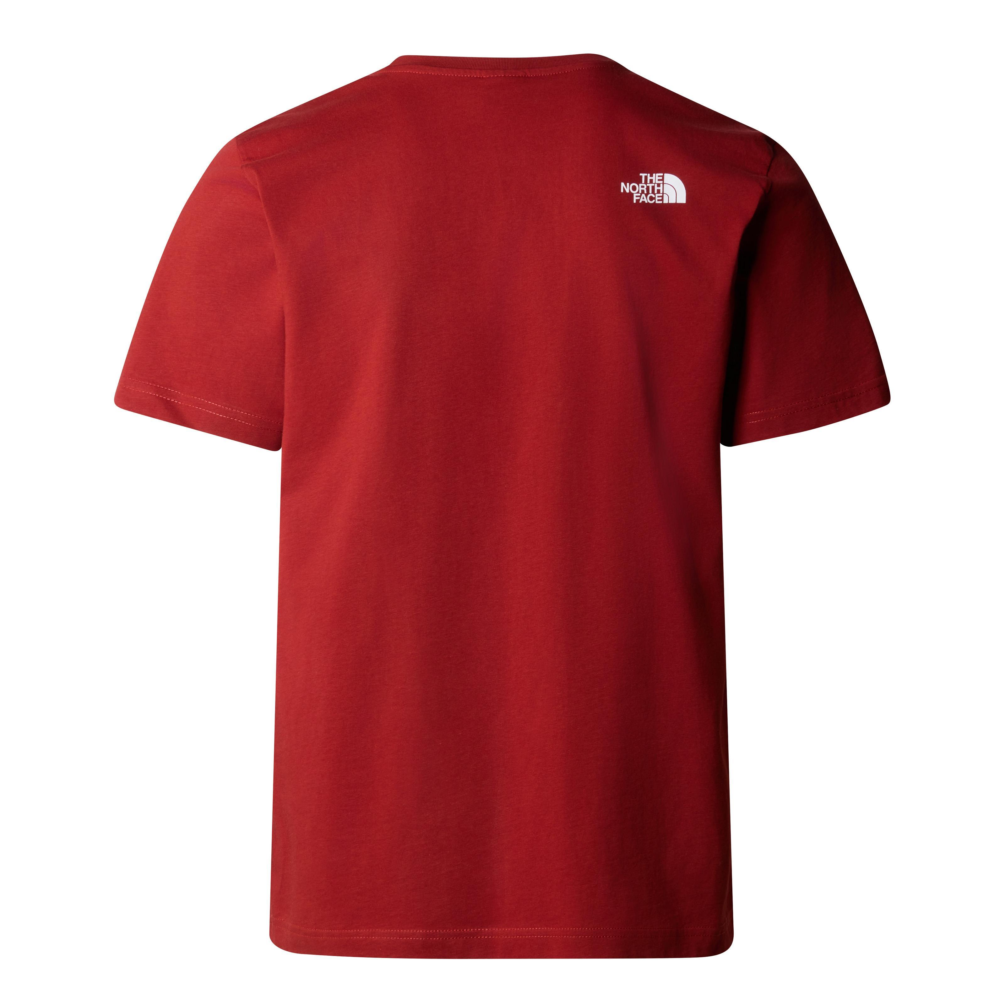 The North Face Easy Erkek Tişört Iron Red