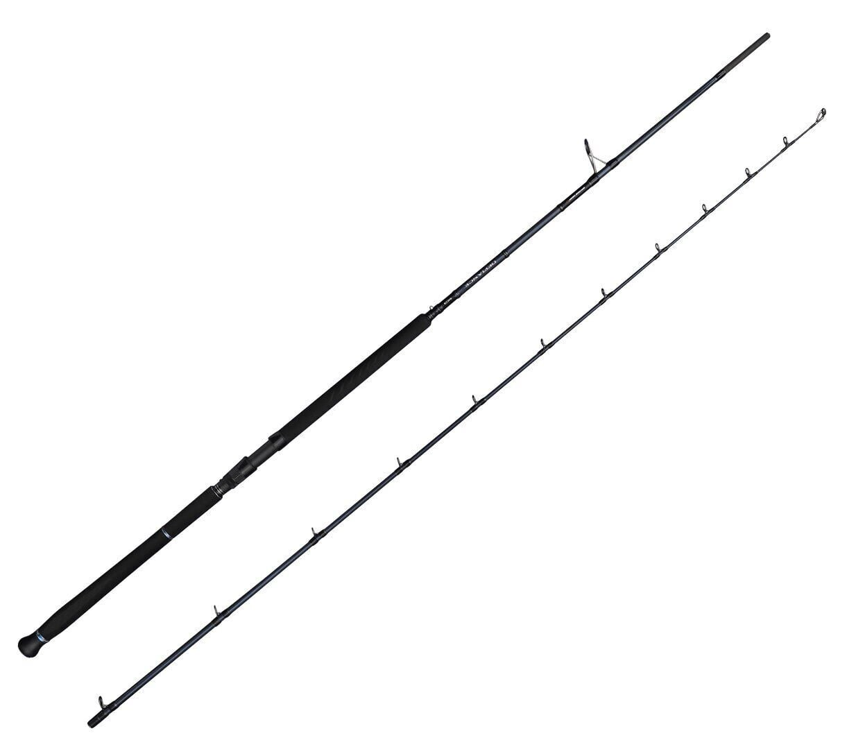 Savage Gear Defiance SG2 Shore Jig 3.05m 30-100gr 2 Parça Olta Kamışı