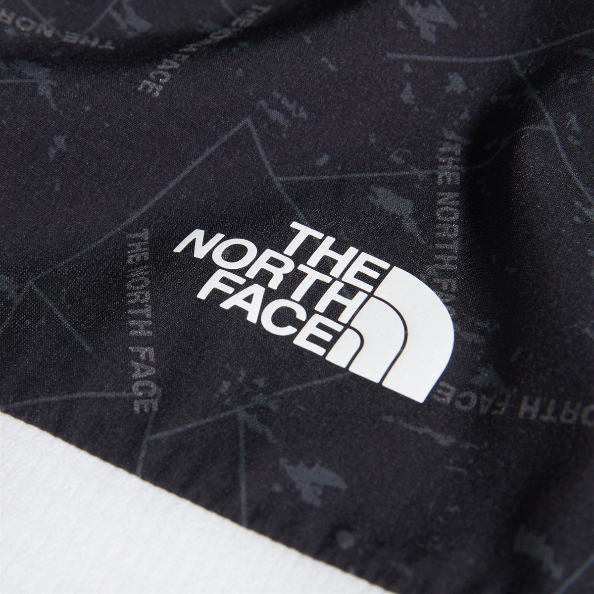 The North Face Train N Logo Overlay Beyaz Erkek Mont