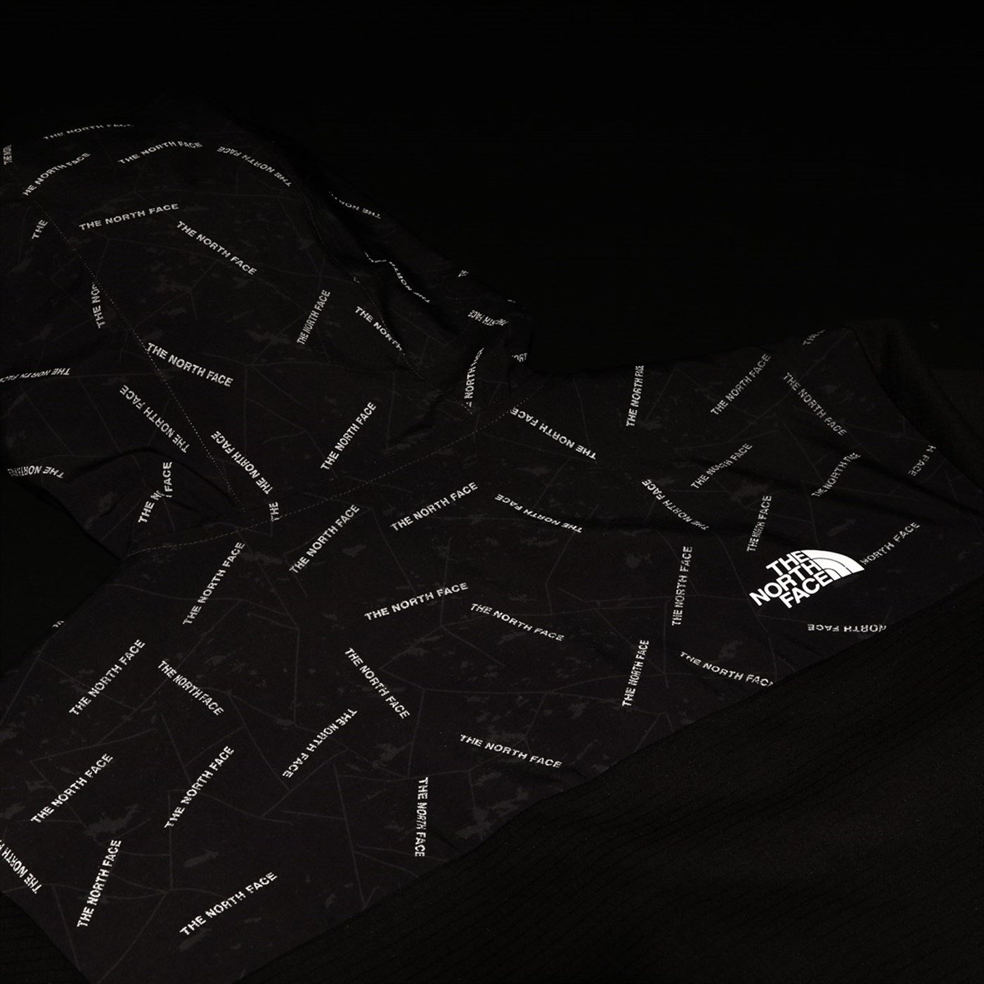 The North Face Train N Logo Overlay Siyah Erkek Mont