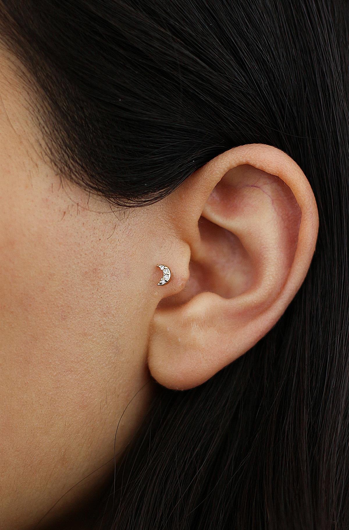  TRAGUS-AK-1485