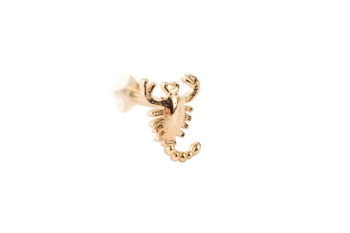 AKREP MOTİFLİ TRAGUS KÜPE -ak15792