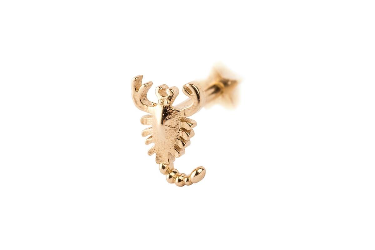 AKREP MOTİFLİ TRAGUS KÜPE -ak15792
