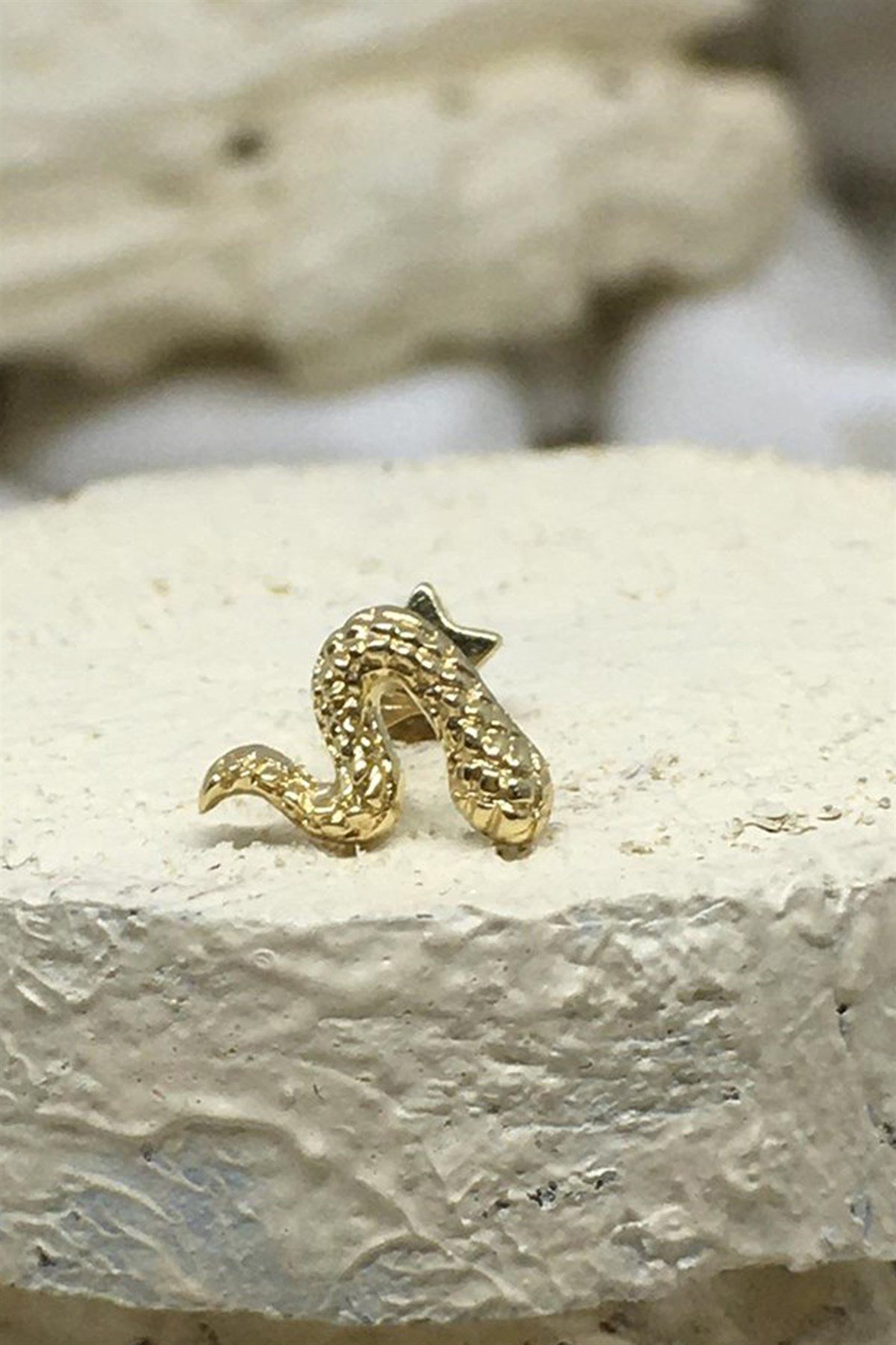 TRAGUS YILAN MOTİFLİ KÜPE  - AK1080