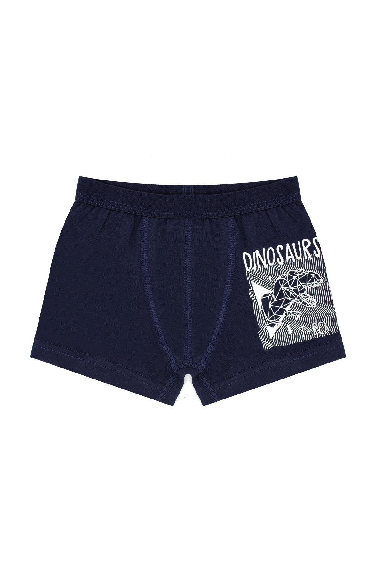 Erkek Çocuk Boxer Likralı Dinozor Serisi (%96 Pamuk)