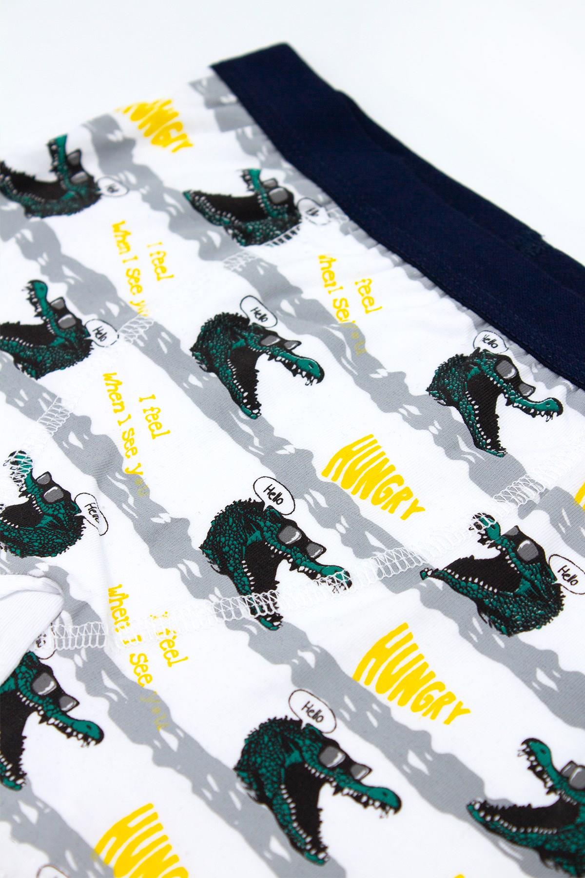 Öts Erkek Çocuk Boxer 3'lü Baskılı (%96 Pamuk - %4 Elastan)